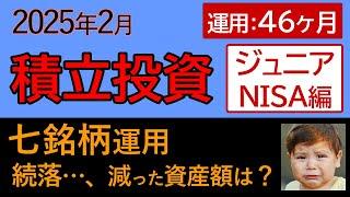 2025年2月"ジュニアNISA積立投資"成績（運用期間：46ヶ月）【第136回】大幅減･･･