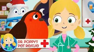 Twinkle The Robin  | Doctor Poppy - Animals For Kids | Cartoon Animals