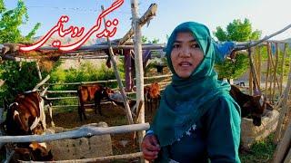 زندگی زیبای روستایی ( دهاتی ) در جاغوری جان #جاغوري