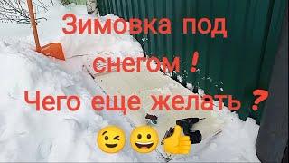 Зимовка винограда под снегом.