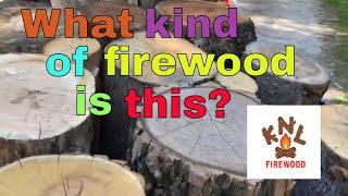 Firewood identification, special Friday edition - n. 62 #firewood #woodhounds #eastonmade