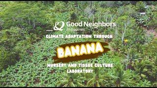 Climate Adaptation of Banana Farmers through Innovative Solutions | Good Neighbors Philippines