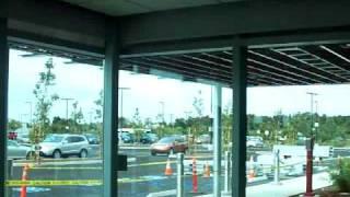 Motorized Blackout Shades