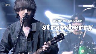 [BUMP OF CHICKEN] strawberry (사이온지 씨는 집안일을 하지 않아 OST) LIVE KOR/JPN