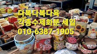 다복다복다육 각종수제화분 세일 010-6387-1905