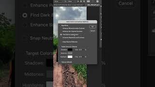 آموزش تکنیک بهبود رنگ عکس در فتوشاپ ،اصلاح سریع رنگ با فتوشاپ #editi #tutorial #edit #photoshop