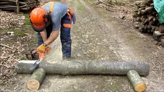 Chainsaw Sculpture - Making a Bench in Under 5 Minutes