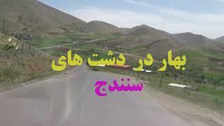 گشتی در دشت های اطراف سنندج در بهار || A tour of the plains around Sanandaj in spring