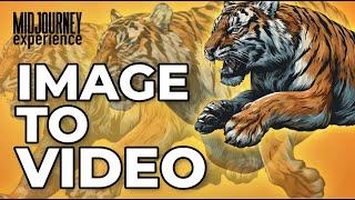 Midjourney’s New Video Tool Will Blow Your Mind!