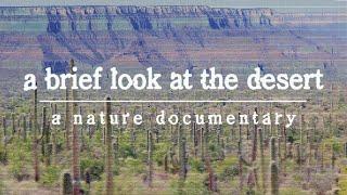 A Brief Look At The Desert: A Nature Documentary