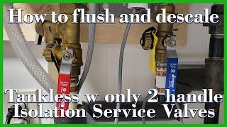 Rheem Tankless flush and descale with single handle service valve set