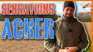 SENSATIONS Acker #sondeln #metaldetecting #lechsonde