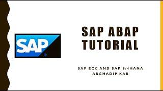 SAP ABAP:How to Change Color of the SAP System