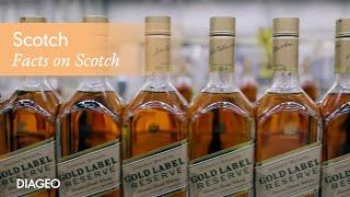 Explore Scotch Whisky and how it's made | Diageo