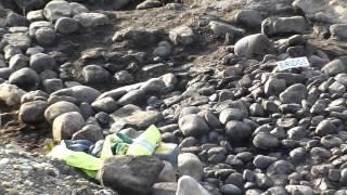 Archaeological excavations beside the A1 at Catterick Bridge #NorthYorkshire