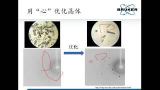 单晶衍射实验之挑选晶体 - How to select crystal for diffraction