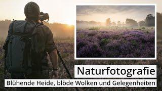 Naturfotografie: Die HEIDE BLÜHT | Von blöden Wolken und schlechten Bedingungen