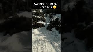 Avalanche in #canada #nature #naturelovers #avalanche #insane