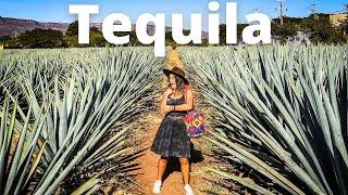 TEQUILA was NOT What I Was Expecting!