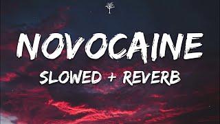 Shiloh Dynasty - Novocaine (Lyrics) Slowed + Reverb