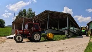 More 3rd Cut Grass for Silage | Grass Silage 2024