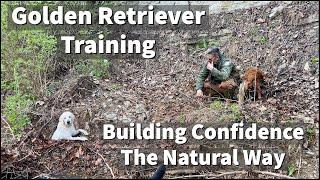 Golden Retriever Training - Building Confidence The Natural Way