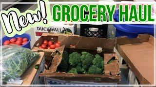 Monthly Grocery Haul & Stock Up!