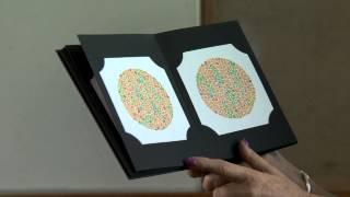 Demonstrating Colour Vision screening - Pass