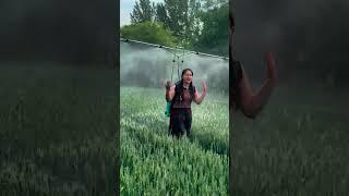 Wheat field backpack type adjustable pesticide automatic sprayer