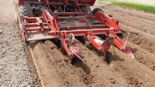 Use of the “Dyker” to reduce soil erosion and waterlogging in potato fields