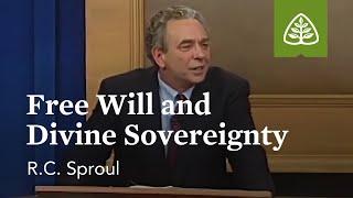 Free Will and Divine Sovereignty: Willing to Believe with R.C. Sproul