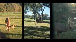 Louisiana Ranch for Sale | M Ranch | 1,424 +/- Acres | Price upon Request