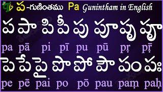 Telugu Guninthalu in English | How to write Pa gunintham in English | ప గుణింతం | Learn #guninthalu