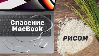 Можно ли спасти мокрый MacBook рисом? Что делать после залитая Mac водой