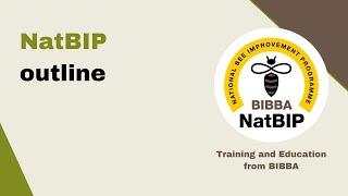 The National Bee Improvement Programme (NatBIP) Outline by Jo Widdicombe