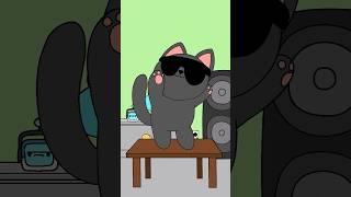 Not this song again #animation #cat #chipichipi