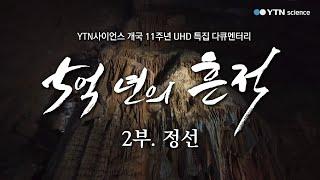 [5억 년의 흔적] 2부. 정선: 고생대 지질 공원 / YTN 사이언스