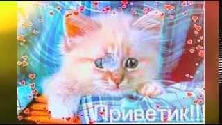 Про100 видео