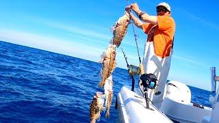 Deep Water Grouper/Snapper Commercial Fishing