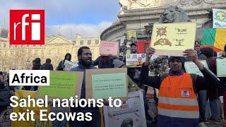 Sahel nations to exit Ecowas: diaspora protests in Paris • RFI English