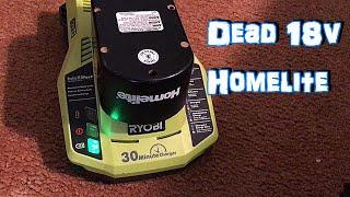 Charging a 3yr Old Dead 18 v Homelite Battery with a Ryobi Intelliport  Charger