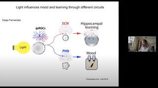 Prof Samer Hattar on "Retinal and brain circuits underlying the effects of light on behavior"