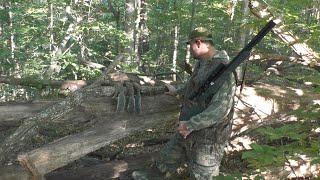 Umarex Origin .25 Caliber Squirrel Hunt (Multiple PCP Hunts) September Madness!