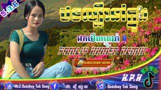 បទល្បីនៅក្នុងក្លឹប Khmer, Welcome To MrZ Nat walker Remix, Edit Mrzz Seechuy Tok Song Edit ,