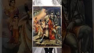 Gau Sewa Param sewa| Social message|Nandi Maharaj #gauseva #loveanimals #viral