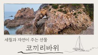 산과 바다가 어우러진 절경 #황금산 #코끼리바위 #명소