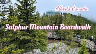 Banff Sulphur Mountain Boardwalk | Banff Gondola | Walking Tour | Alberta Canada