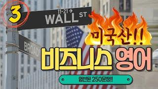 비즈니스 영어회화 250 문장 쉐도잉 ③ [스크립트 있음] 