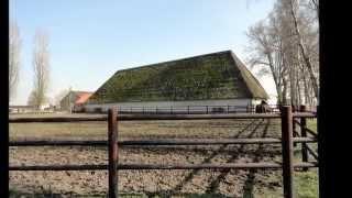 Wiekevorst Wimpel