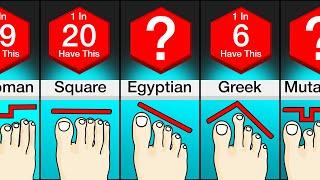 Comparison: Different Types Of Feet